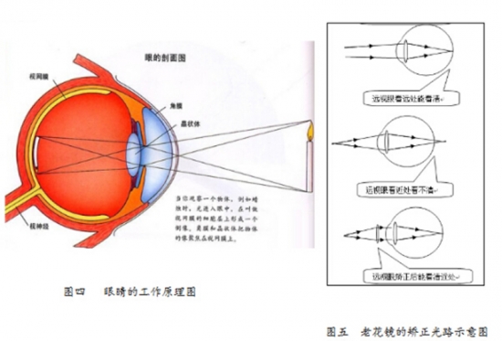 美麗島眼鏡：老花鏡不可隨意亂帶，需要在專業(yè)驗(yàn)光后科學(xué)配制